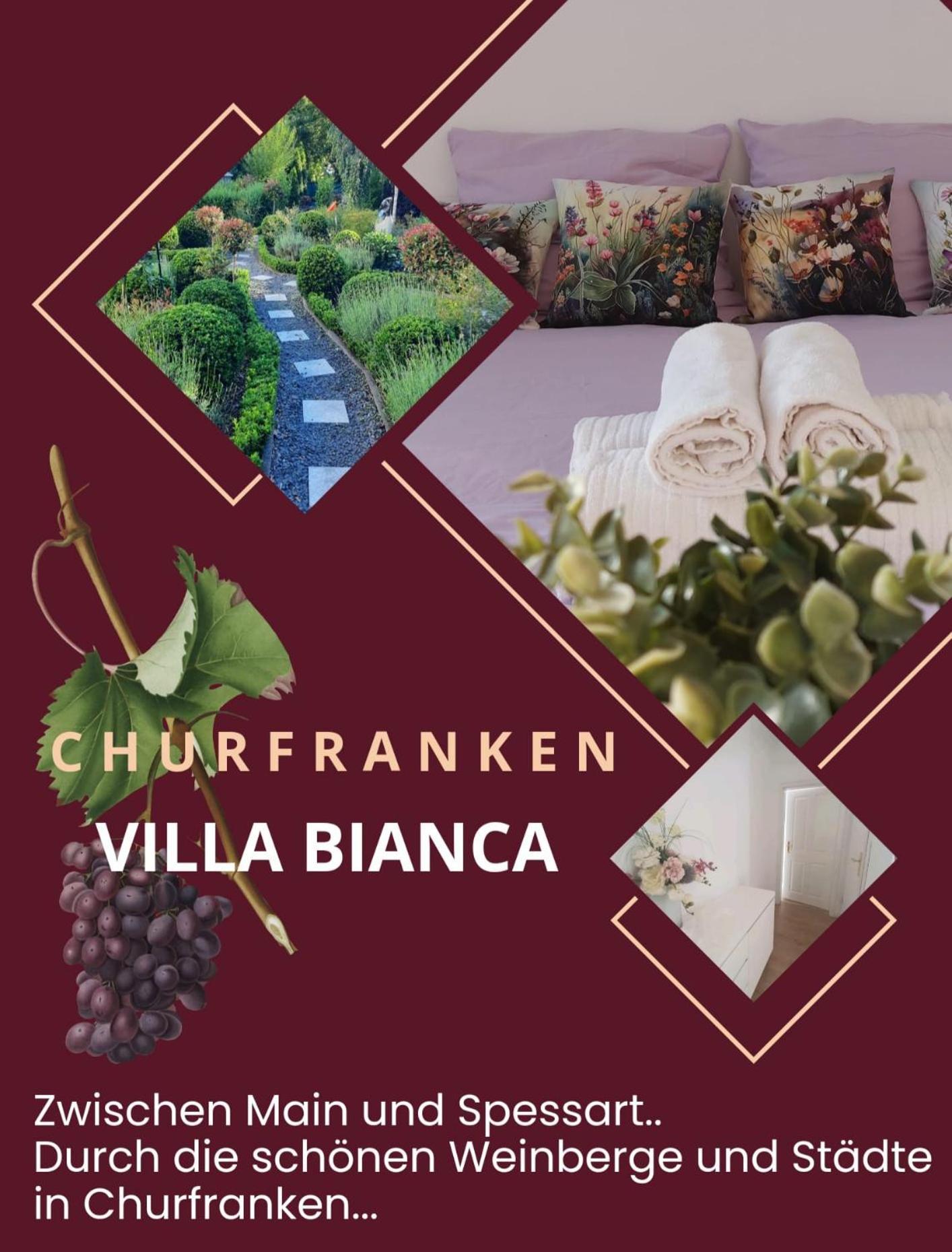 Elsenfeld Villa Bianca - Holiday & Business מראה חיצוני תמונה